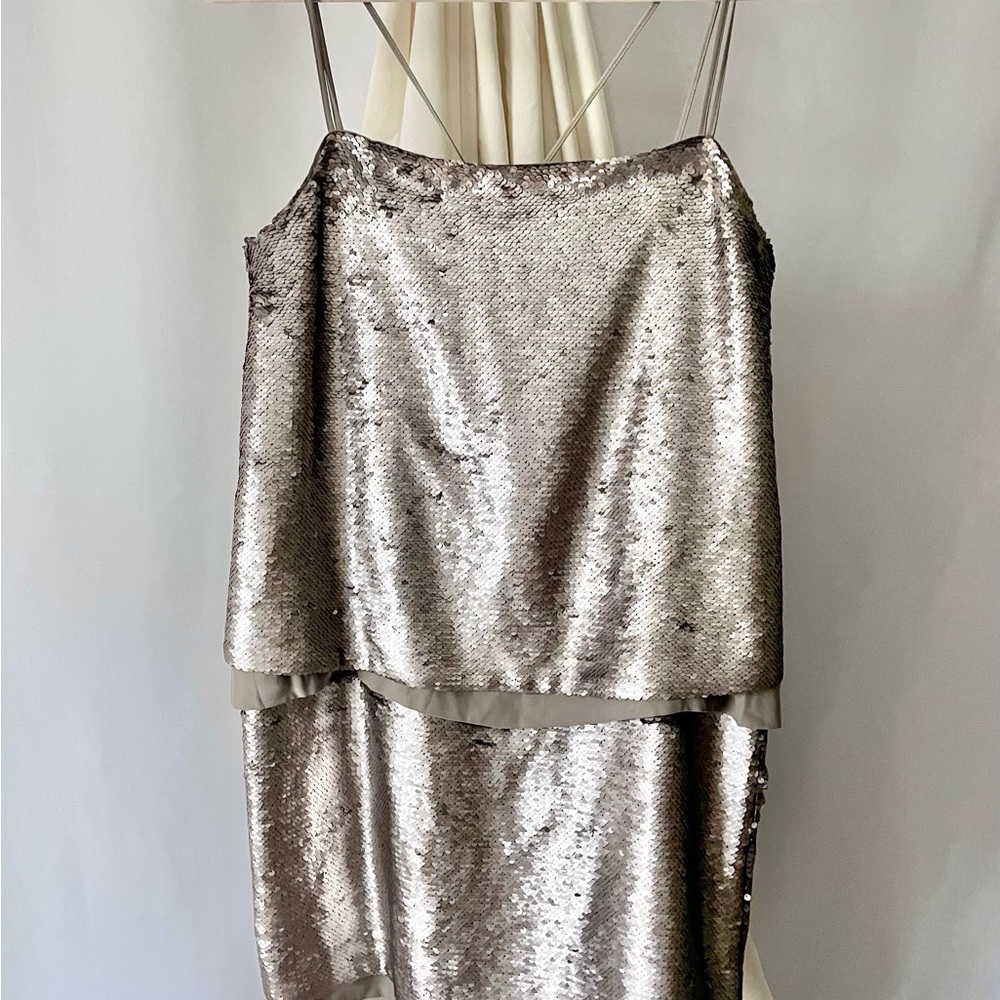 Banana Republic Taupe Silver Sequin Dress